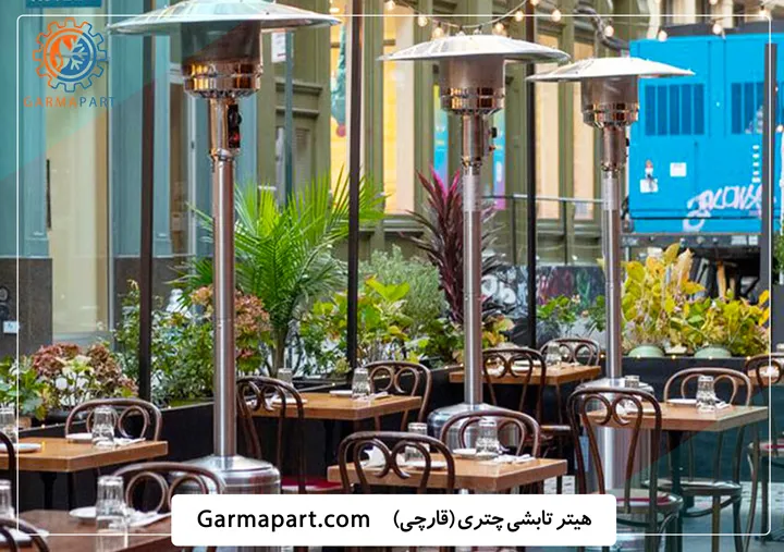 هیتر چتری قارچی