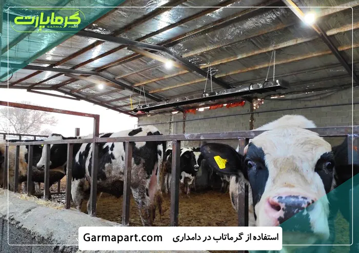 کاربرد در گرمایش دامداری