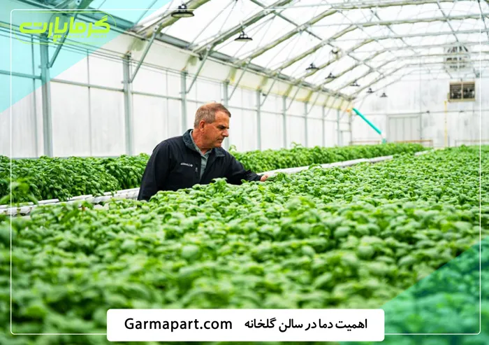 اهمیت دما در سالن گلخانه