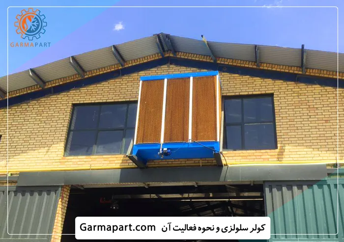 کولر سلولزی و فعالیت آن