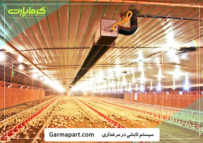 گرماتاب در مرغداری