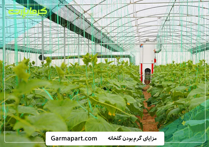 مزایای گرم بودن گلخانه