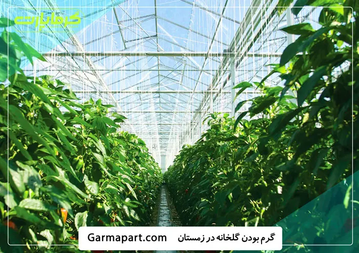 گرم بودن گلخانه در زمستان و پاییز