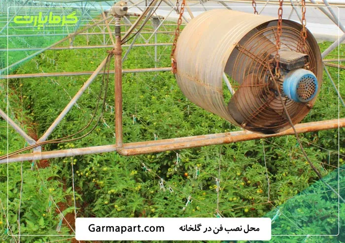 محل نصب فن در گلخانه