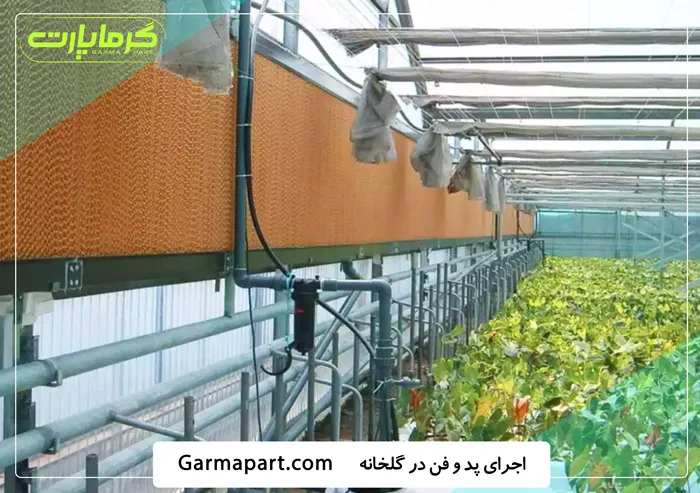اجرای پد و فن گلخانه با قیمت ارزان