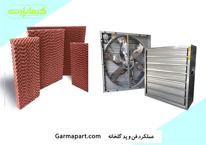 عملکرد فن و پد گلخانه