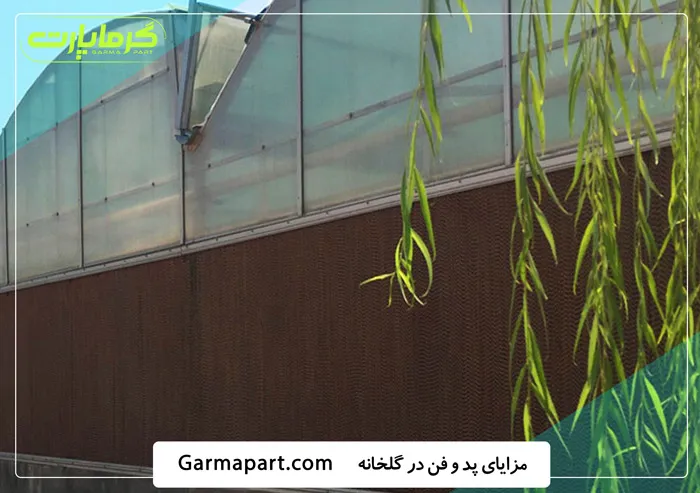 مزایای استفاده از پد و فن در گلخانه