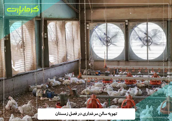 تهویه مرغداری در فصل زمستان