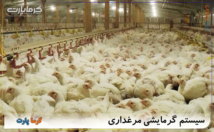سیستم گرمایشی مرغداری