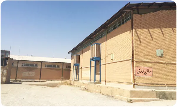 کولر آکسیال ورزشی