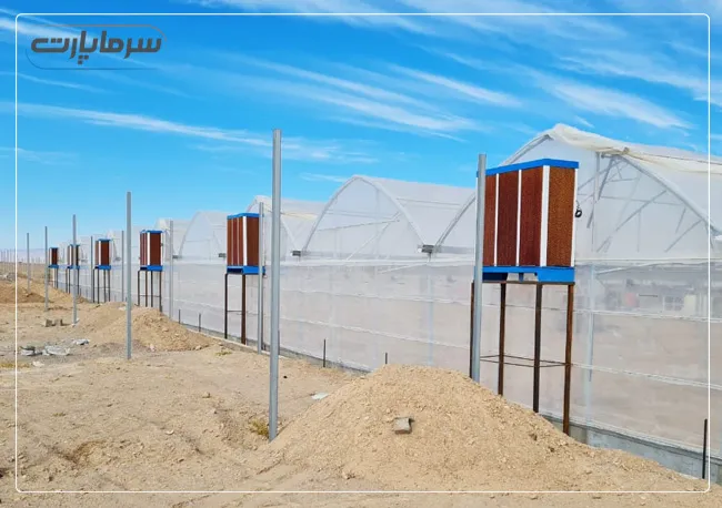 راهنمای انتخاب کولر برای گلخانه