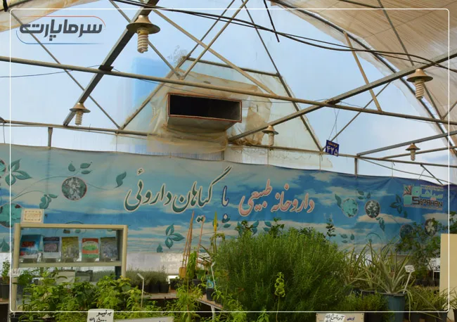 مزایای استفاده از کولرهای گلخانه‌ای