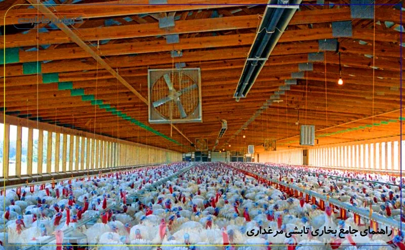 بخاری تابشی مرغداری