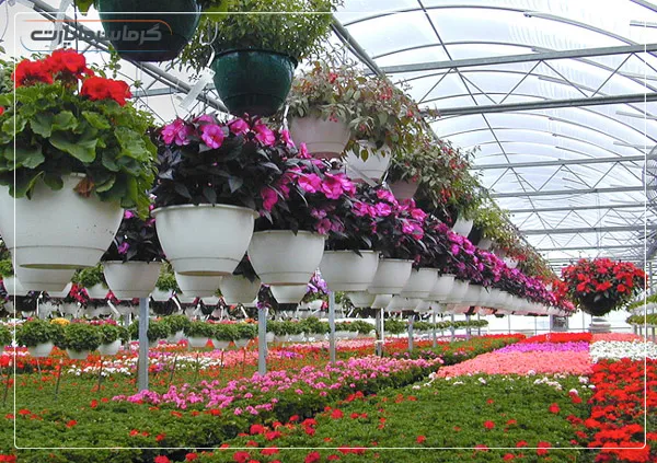 پرسودترین محصولات گلخانه ای